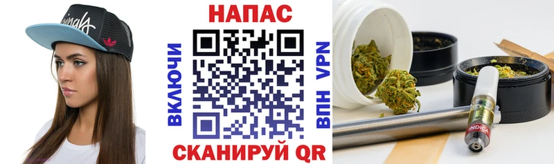 Бошки Шишки Дубовка