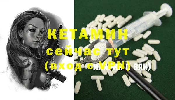 сатива Нефтекумск