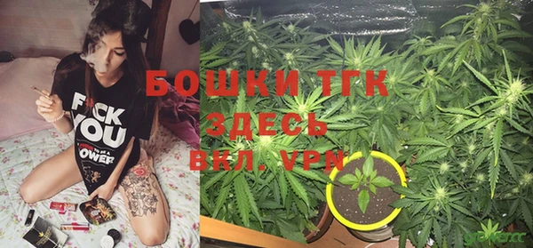прущие грибы Наволоки