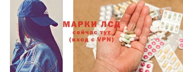 сатива Нефтекумск