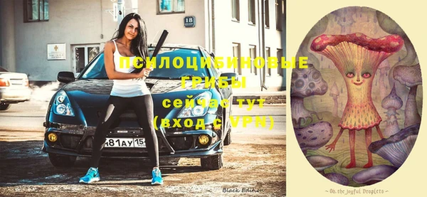 Альфа ПВП Нея