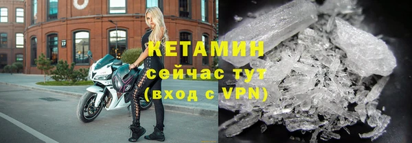 прущие грибы Наволоки
