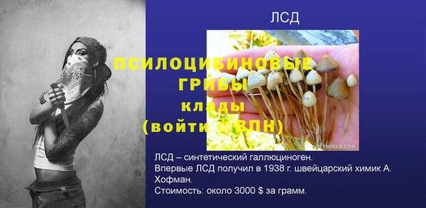 Альфа ПВП Нея