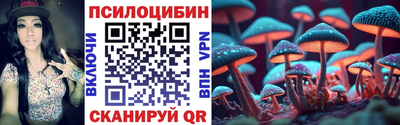 Галлюциногенные грибы Psilocybe  Дубовка 