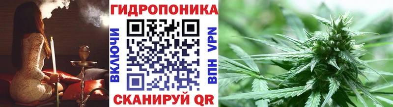 KRAKEN маркетплейс  Дубовка  Бошки Шишки SATIVA & INDICA 